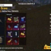 PUBG饭饭容器公益辅助直装v1.17