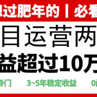 2025快递站回收玩法：收益超过10万+，项目冷门，0门槛